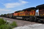 BNSF 6311 Roster shot